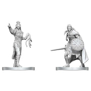 D&D Nolzur's Marvelous Miniatures: Drow Elite Warrior & Drow Priestess of Lolth - Unpainted gray plastic miniatures of a Drow Elite Warrior with sword and shield, and a Drow Priestess in ornate armor.