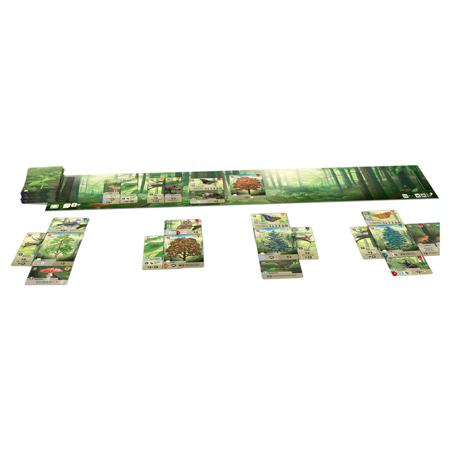 Forest Shuffle - Forest Shuffle card game with rectangular cards featuring detailed forest and animal illustrations arranged in rows on a.