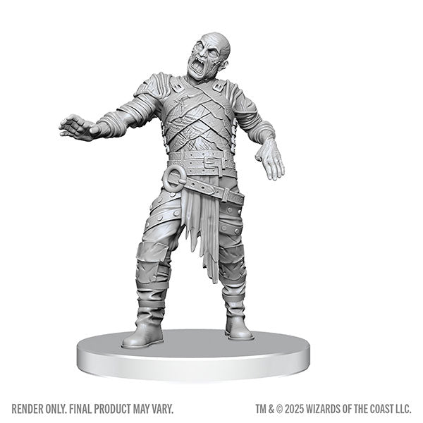 D&D Nolzur's Marvelous Miniatures: Swarm of Rot Grubs & Rot Grub Victim - Unpainted gray plastic miniature of a zombie-like humanoid with ragged armor and tattered cloth standing on a round base.
