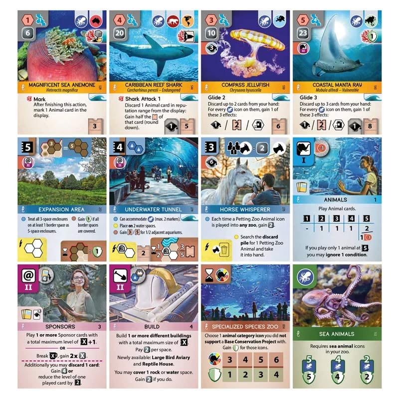 Ark Nova: Marine Worlds Expansion - Colorful game cards arranged in a grid, featuring marine-themed illustrations with fish, underwater scenes, and oceanic.