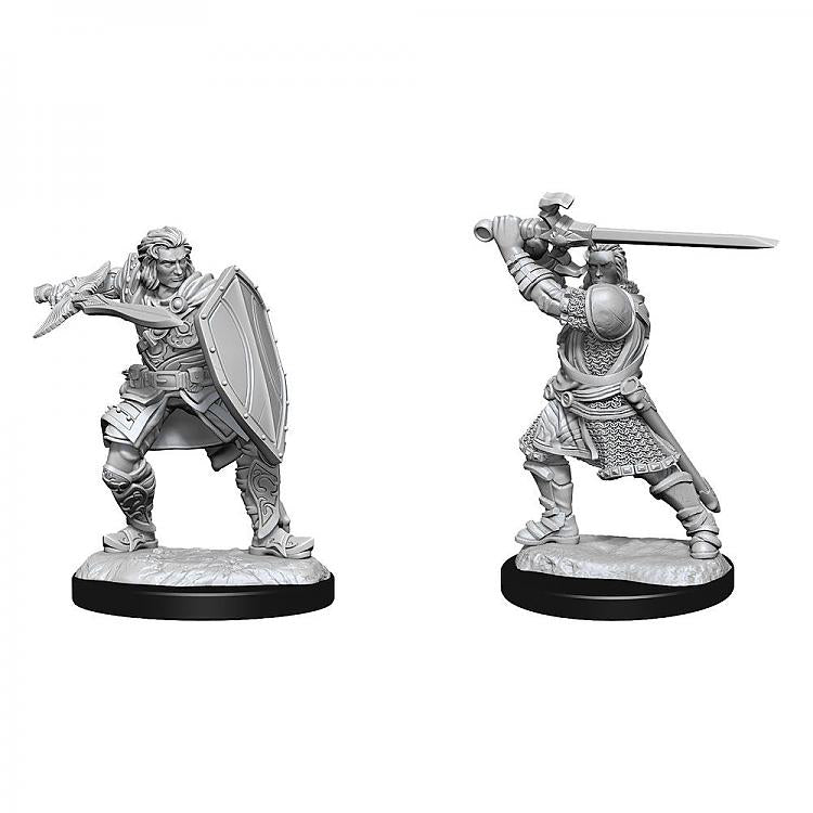 D&D Nolzur's Marvelous Minis: Human Paladin Male - Unpainted gray resin mini of male human paladin in armor with shield and raised sword, dynamic battle pose.