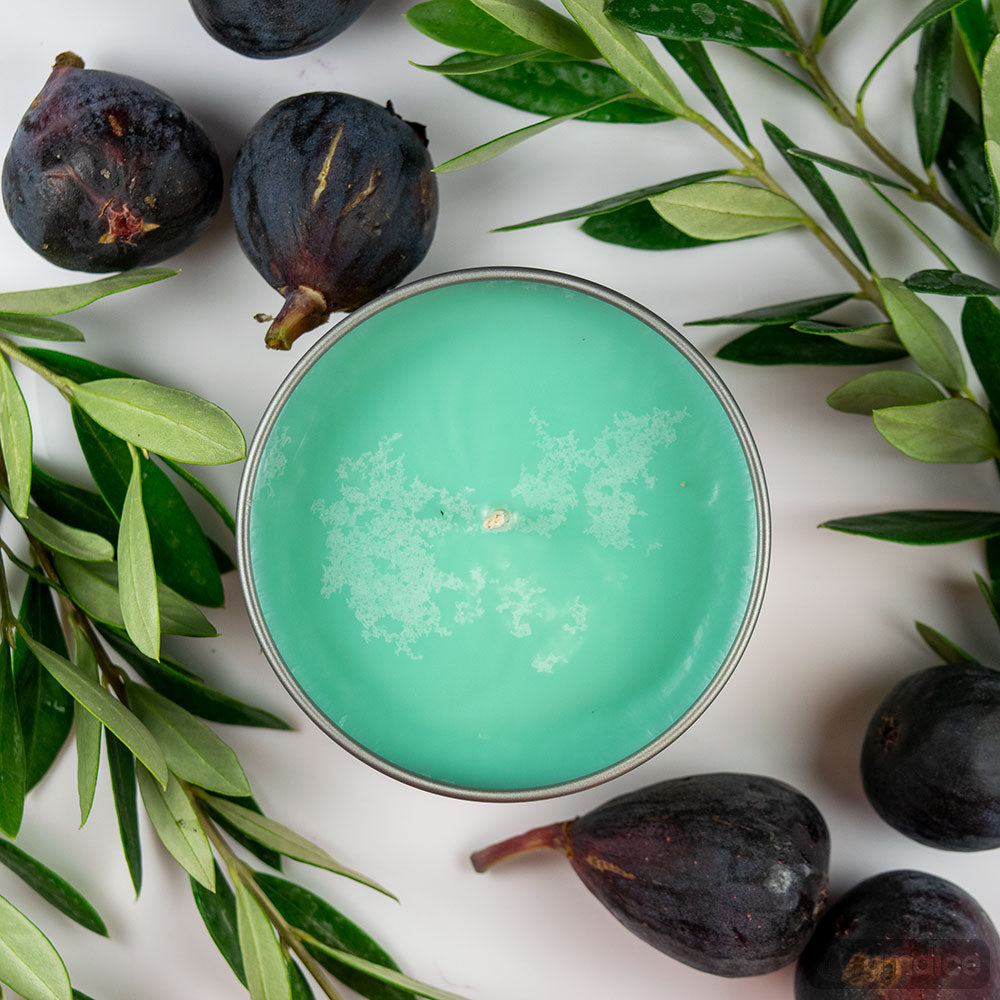 Desert Bazaar Candle - Round candle with smooth turquoise wax in a simple white ceramic holder, surrounded by fresh green leaves and dark purple.