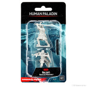 D&D Nolzur's Marvelous Miniatures: Male Human Paladin - Two unpainted gray plastic miniatures of male human paladins in dynamic battle poses, packaged in clear plastic blister on a