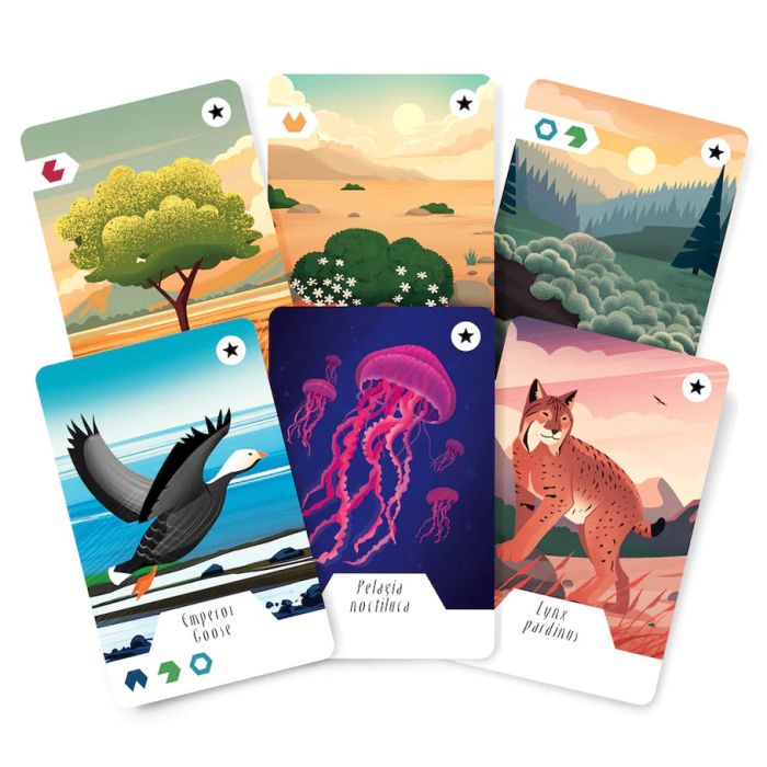 Ecosfera Expansion - Set of six colorful wildlife-themed cards from the Ecosfera Expansion, featuring illustrations of a tree, desert landscape,.