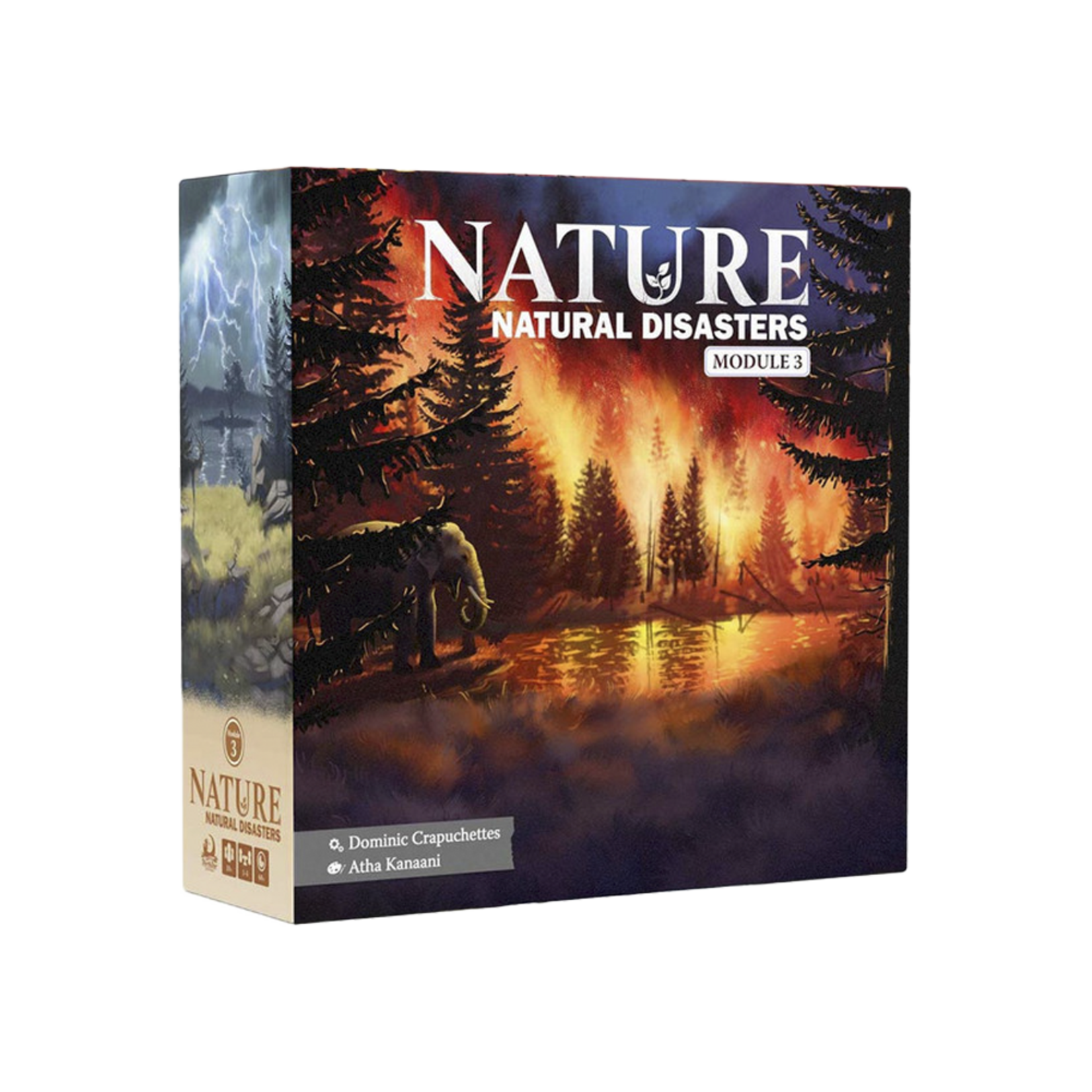 Nature: Module 3: Natural Disasters - Board game expansion box featuring a fiery forest wildfire scene with dark trees and smoky skies.