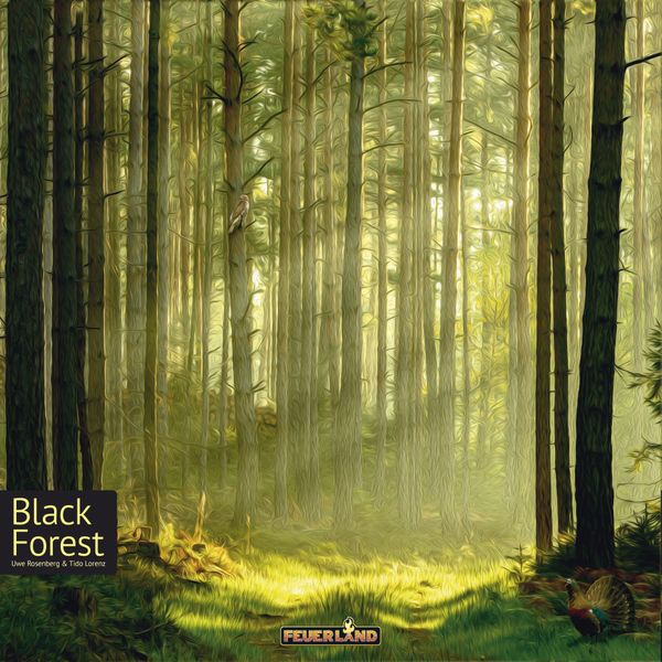 Black Forest (PREORDER) - Dense forest of tall, slender pine trees with sunlight filtering through, mossy ground path.