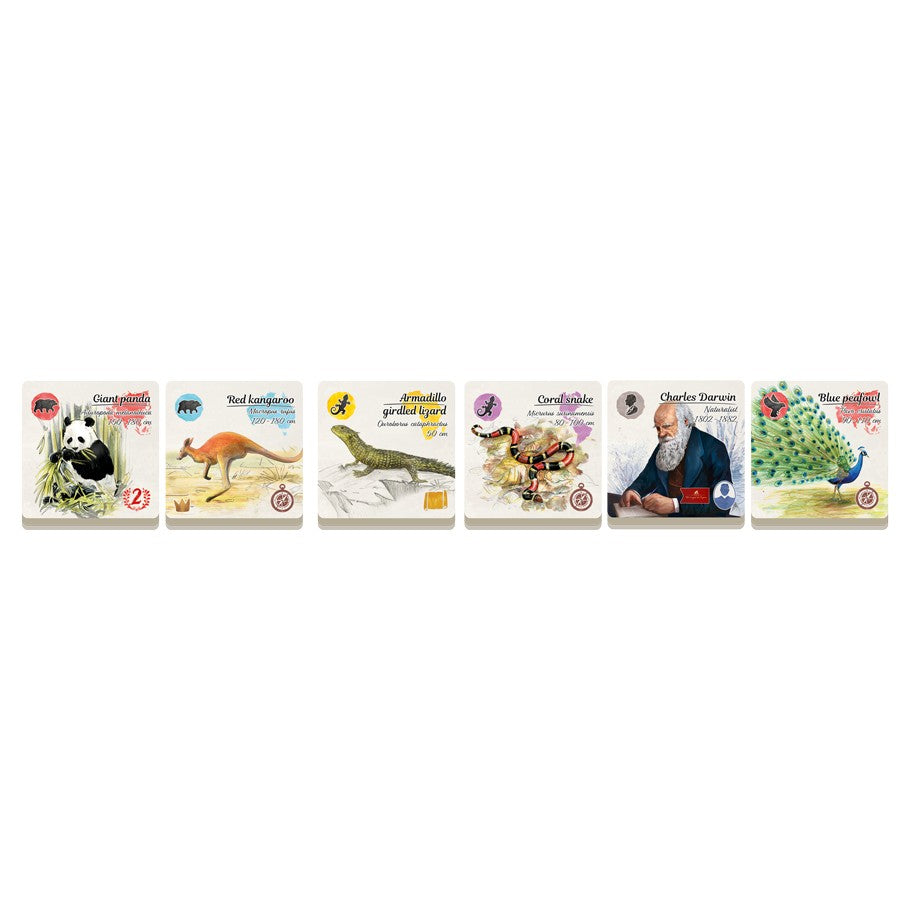 In the Footsteps of Darwin - Row of six educational game boxes with colorful animal and nature illustrations, featuring a panda, kangaroo, lizard,.