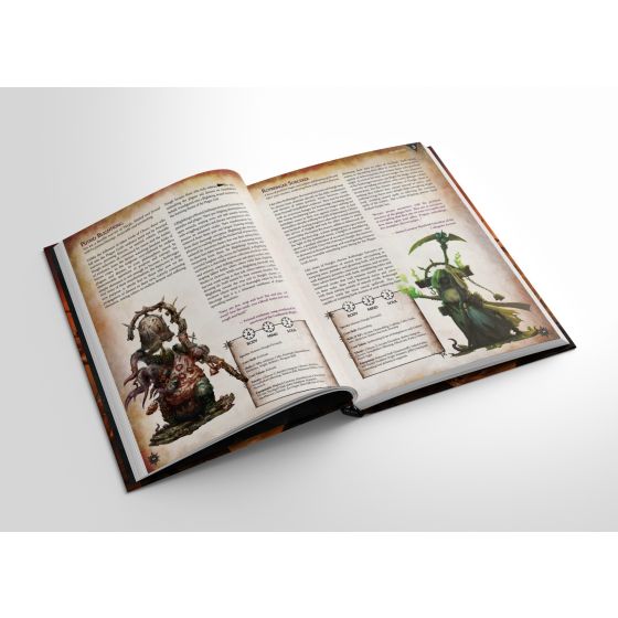 Warhammer Age of Sigmar: Soulbound Champions of Chaos RPG - Core Rulebook (PREORDER) - Open hardcover book showing detailed fantasy character illustrations and dense text on white pages.