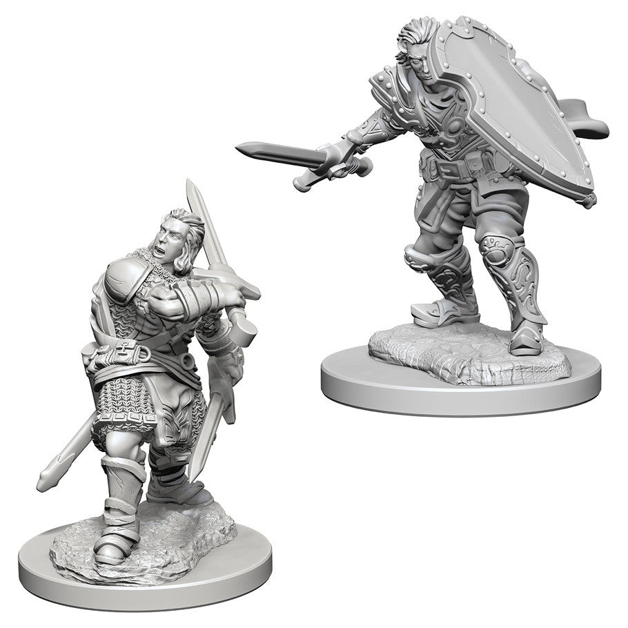 D&D Nolzur's Marvelous Minis: Human Male Paladin - Unpainted grey plastic miniature of a human male paladin holding a sword and large kite shield with detailed armor and.