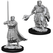 D&D Nolzur's Marvelous Miniatures: Male Human Cleric - Gray unpainted miniature of a male human cleric wielding a sword and shield in detailed fantasy armor.
