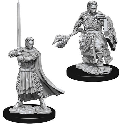 D&D Nolzur's Marvelous Miniatures: Male Human Cleric - Gray unpainted miniature of a male human cleric wielding a sword and shield in detailed fantasy armor.