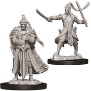 D&D Nolzur's Marvelous Miniatures: Male Elf Paladin - Gray plastic miniatures of a male elf paladin in armor; one holding sword and dagger, another with large sword and fur cloak.