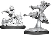D&D Nolzur's Marvelous Miniatures: Female Human Monk - Two unpainted gray resin miniatures of fantasy human monks; one crouching with a sword and dog, the other mid-air in a.