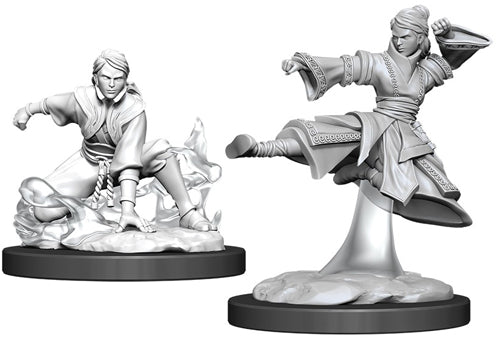 D&D Nolzur's Marvelous Miniatures: Female Human Monk - Two unpainted gray resin miniatures of fantasy human monks; one crouching with a sword and dog, the other mid-air in a.