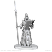 Pathfinder Battles Deep Cuts: Vloriak (Despoiler Demon) & Demonologist - Gray unpainted resin miniature of a robed demonologist holding an open book in one hand and a tall spear in the other,.