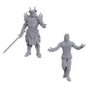 D&D Nolzur's Marvelous Miniatures: Special Edition Baldur's Gate 3: Sarevok Anchev & Raphael - Two unpainted gray plastic miniatures, one armored warrior with horned helmet and sword, one robed figure with outstretched.