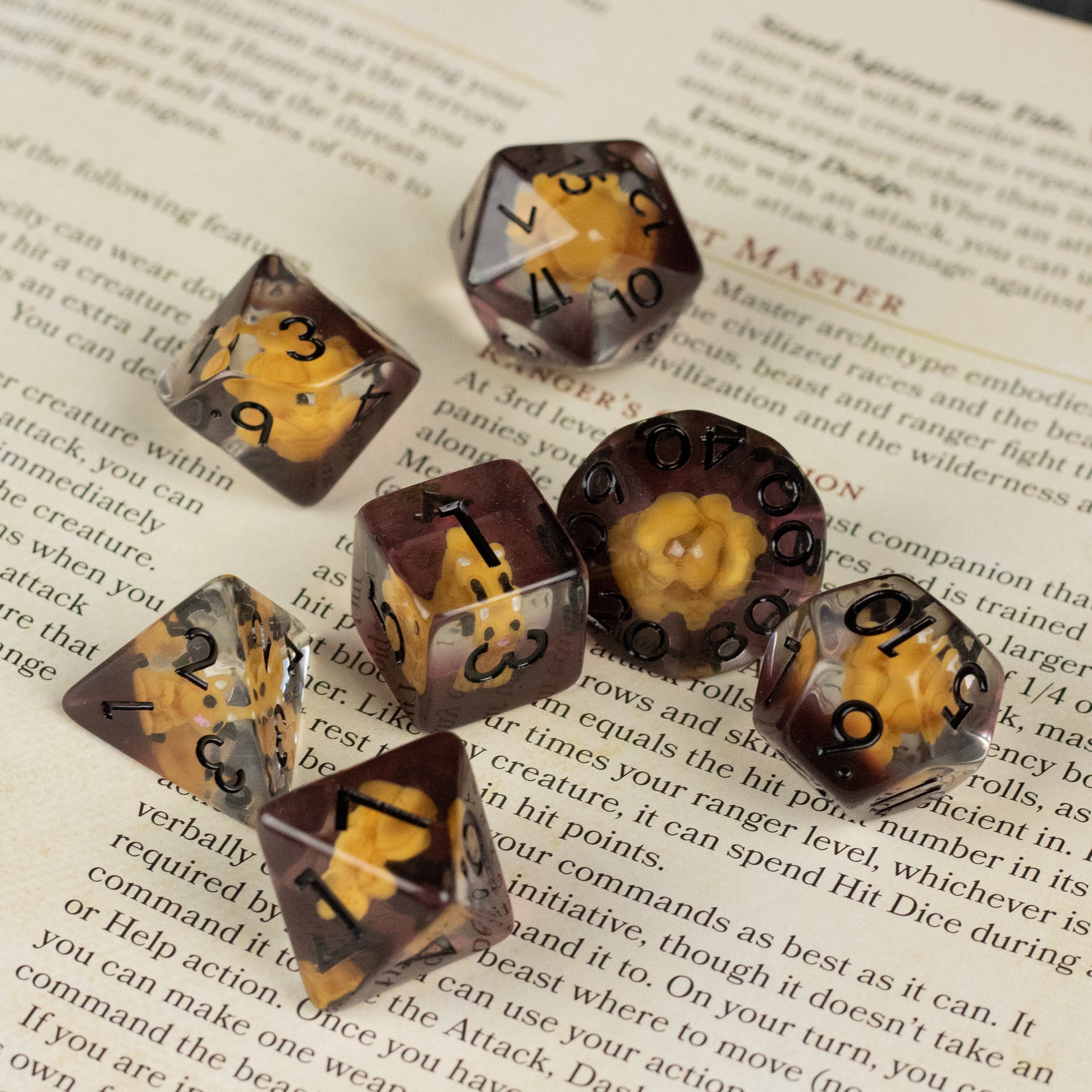 Squirrel Dice Set - Seven translucent amber resin dice with black numbers and yellow squirrel icons, arranged on a book page.